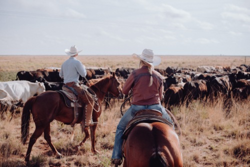 a couple horseback riding and guiding over a dozen horses at a ranch